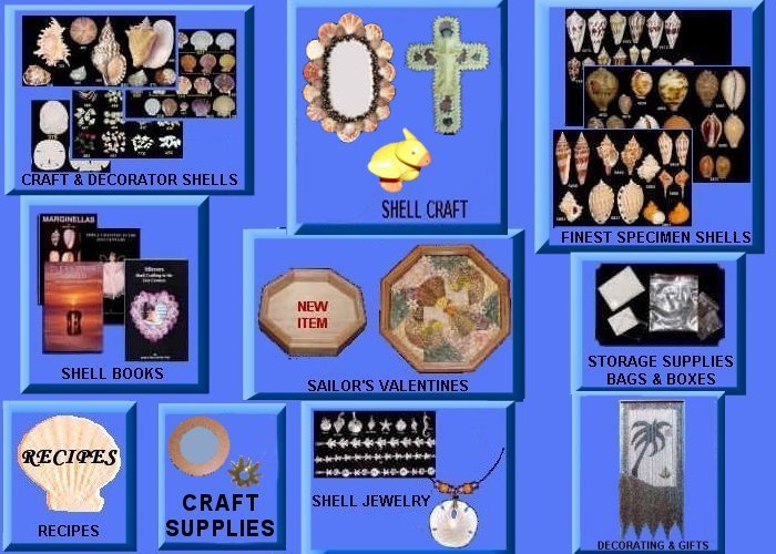 The Shell Store picture links for such departments as specimen shells, craft shells, craft ideas, books, storage supplies and gifts.
