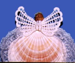 angel wings lesson step 4